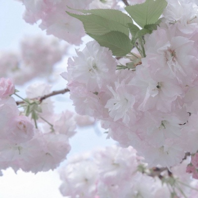 兽设家庭场景绘制FurryQQ群